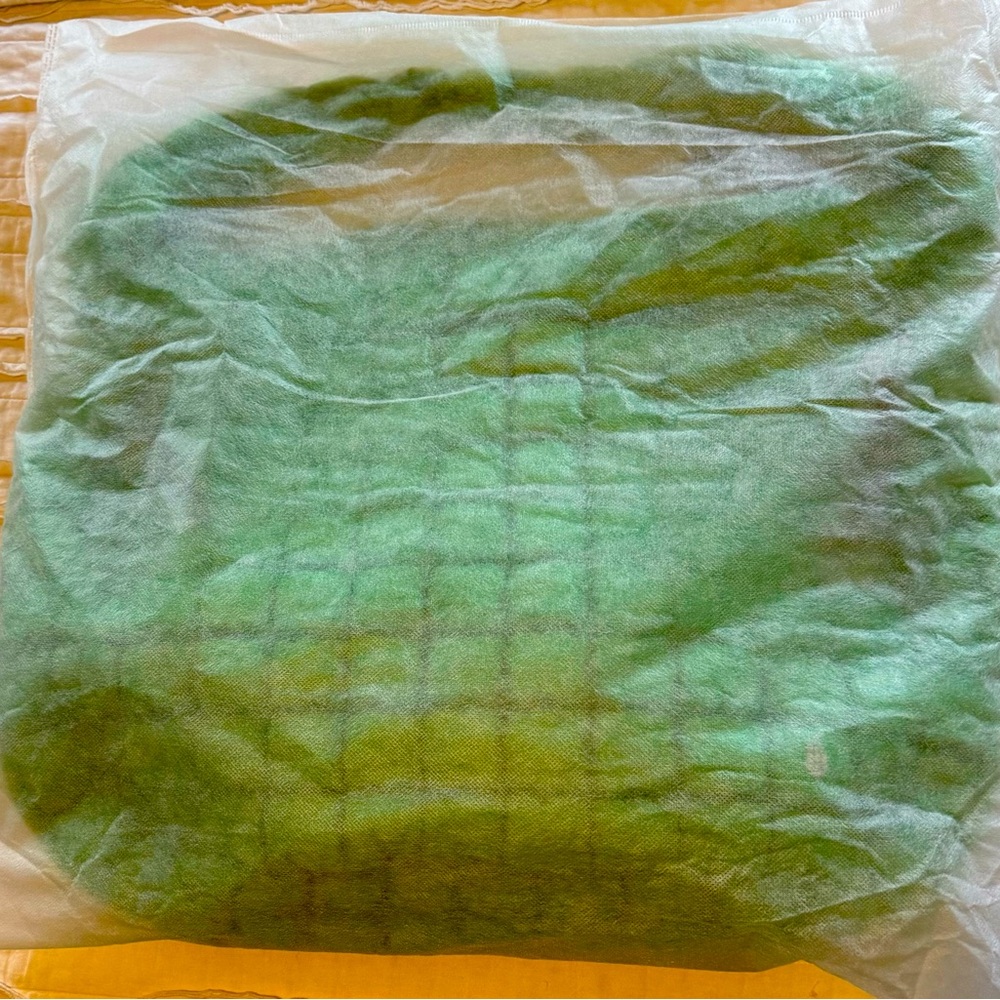 NWT Free people quilted carryall bag. Kelly green color!
